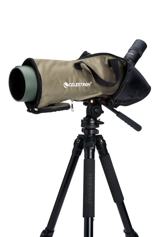 Celestron Regal M2 20-60x80mm ED Angled Zoom Spotting Scope