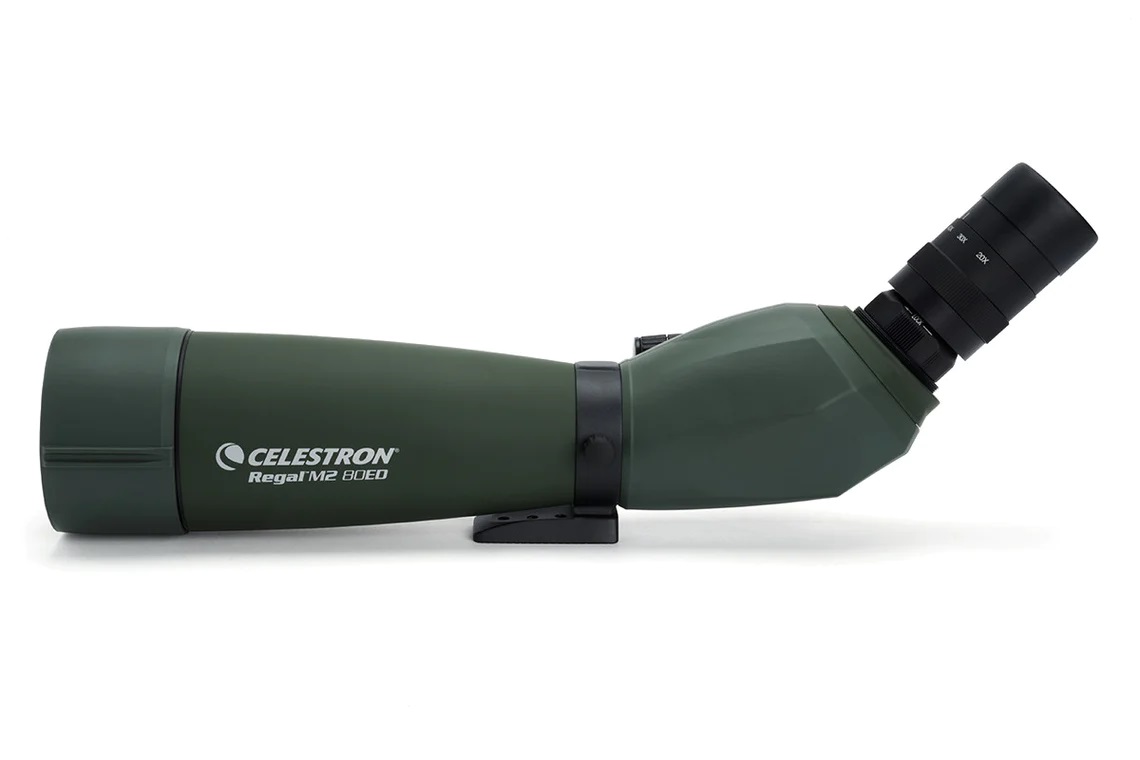 Celestron Regal M2 20-60x80mm ED Angled Zoom Spotting Scope