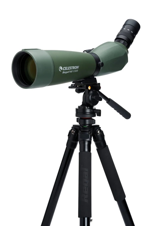 Celestron Regal M2 20-60x80mm ED Angled Zoom Spotting Scope