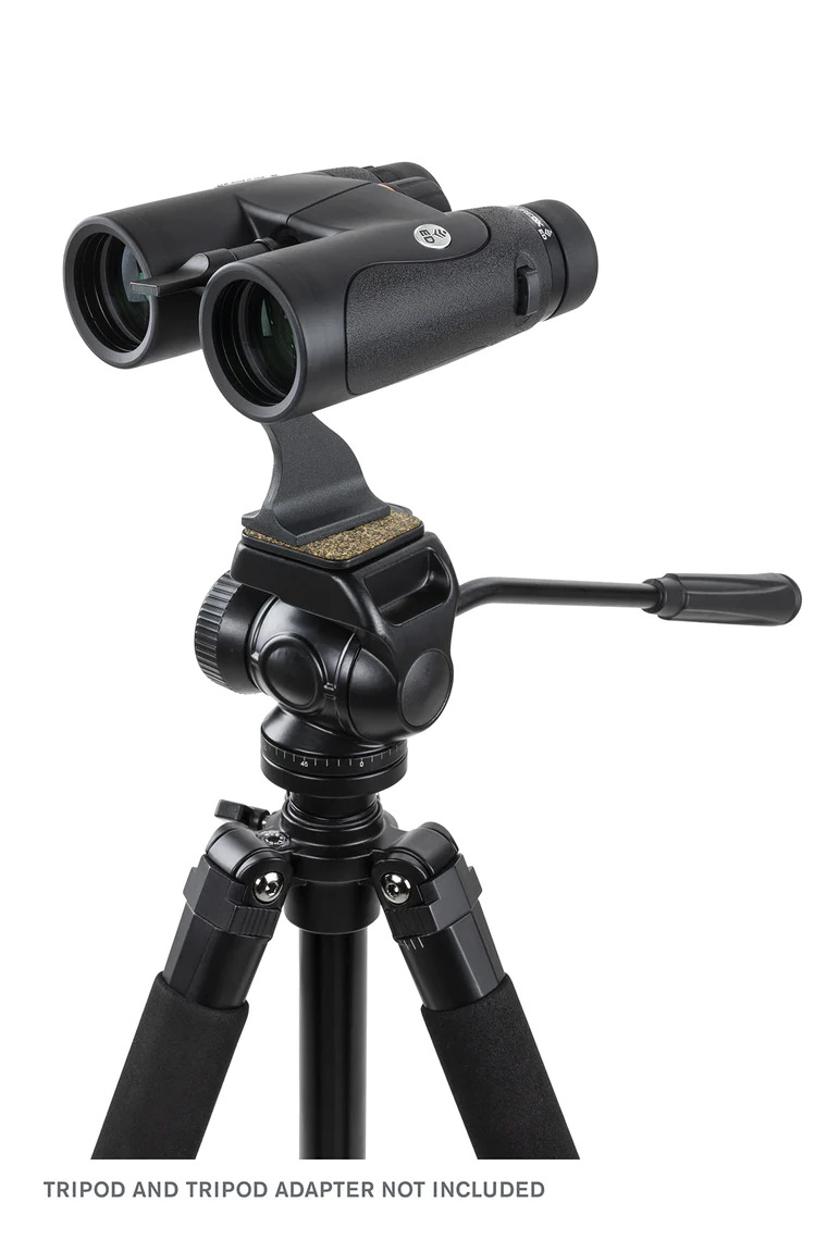 Celestron Nature DX 10x42ED 屋頂稜鏡雙筒鏡